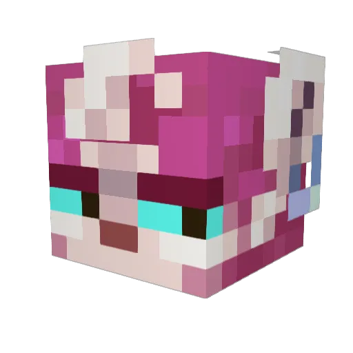 f14wa Minecraft avatar head, 3D render