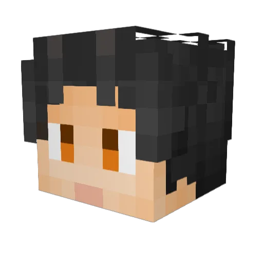 f1sh_XD Minecraft avatar head, 3D render