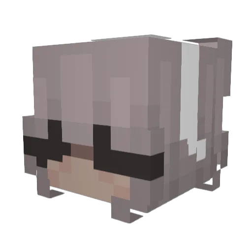 f1yerbek Minecraft avatar head, 3D render
