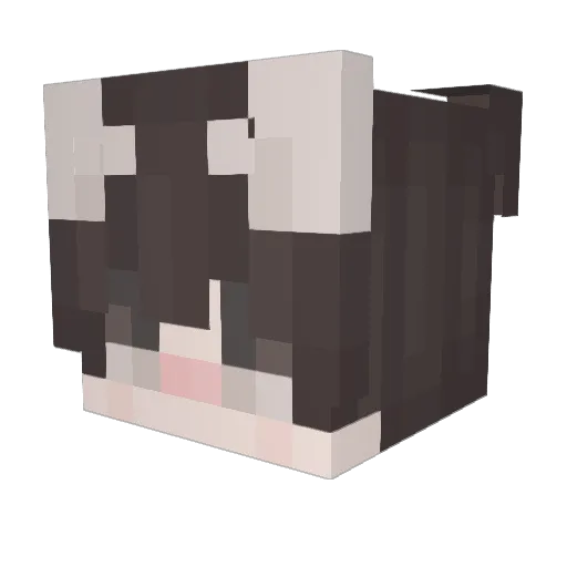 f3rn Minecraft avatar head, 3D render