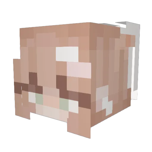 f43r13 Minecraft avatar head, 3D render