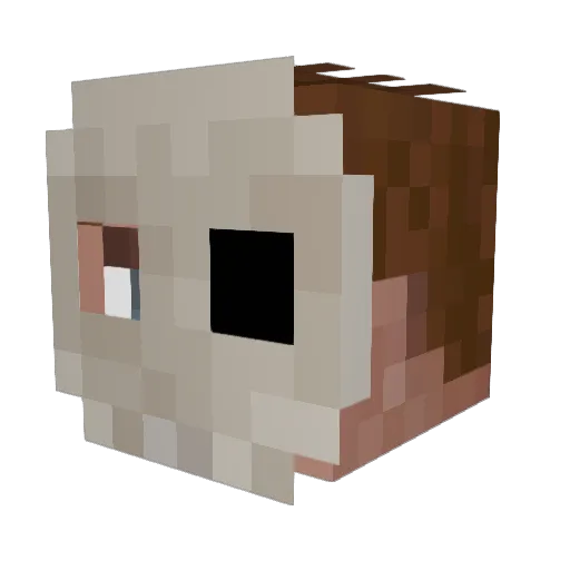 f473d Minecraft avatar head, 3D render