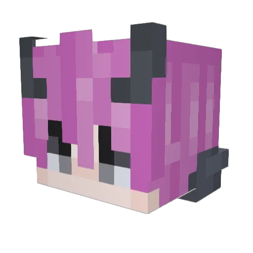 f4lsedirection Minecraft avatar head, 3D render