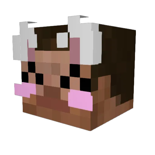 f4nboy Minecraft avatar head, 3D render