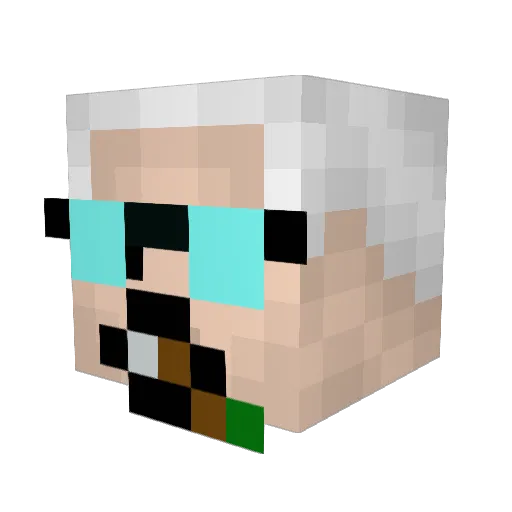f4nnyfart Minecraft avatar head, 3D render