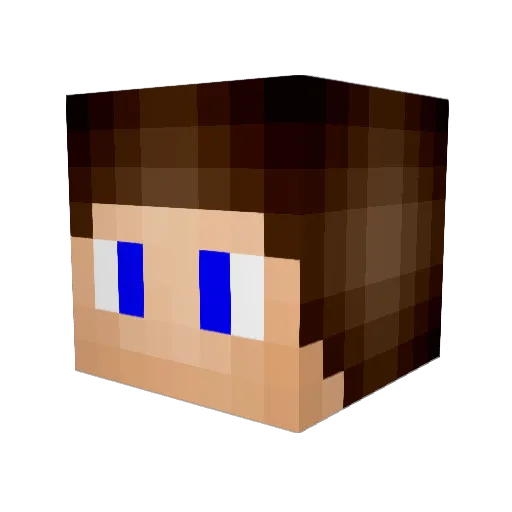 f4outthedoordud Minecraft avatar head, 3D render