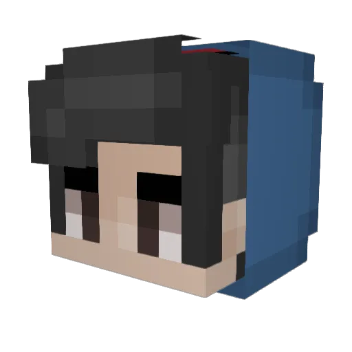 fERN247 Minecraft avatar head, 3D render