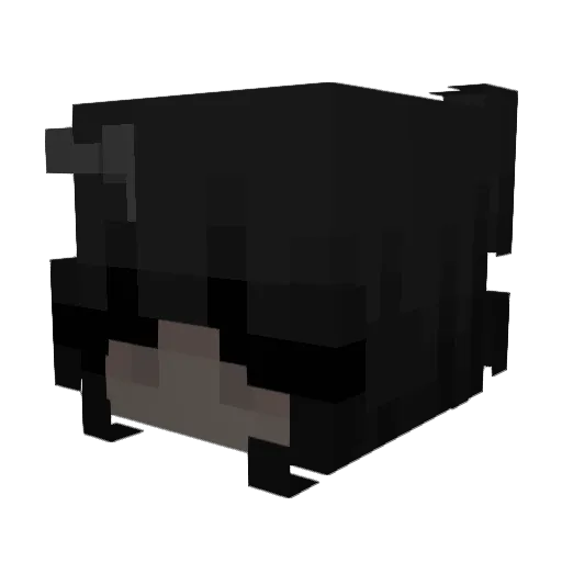 fIeur_ Minecraft avatar head, 3D render