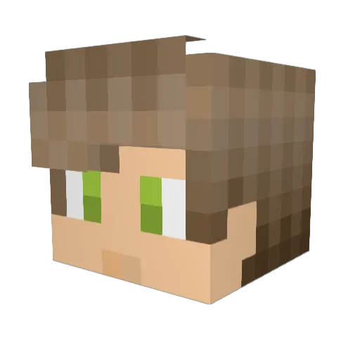 fL4sH01 Minecraft avatar head, 3D render