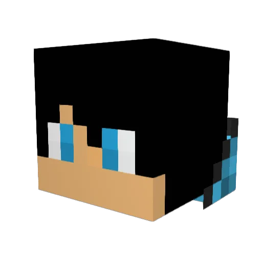 fLasH_CSGO Minecraft avatar head, 3D render