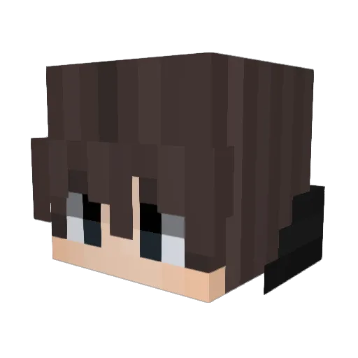 fLiP_rEsET Minecraft avatar head, 3D render