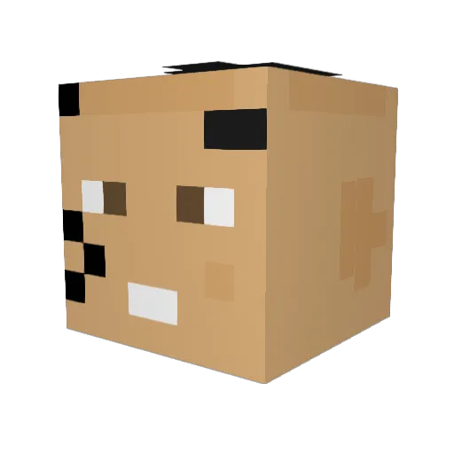 fLow_My Minecraft avatar head, 3D render