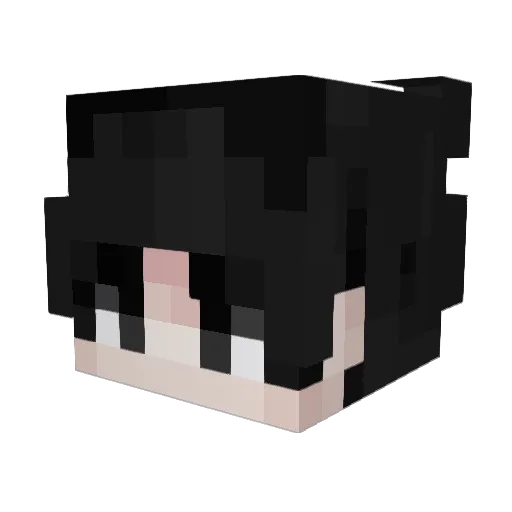 fM7mD Minecraft avatar head, 3D render