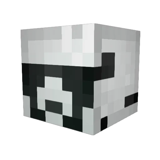 fRIEDHELm_88 Minecraft avatar head, 3D render