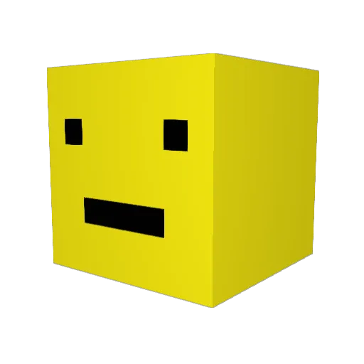 f_l_o_p_p_a Minecraft avatar head, 3D render