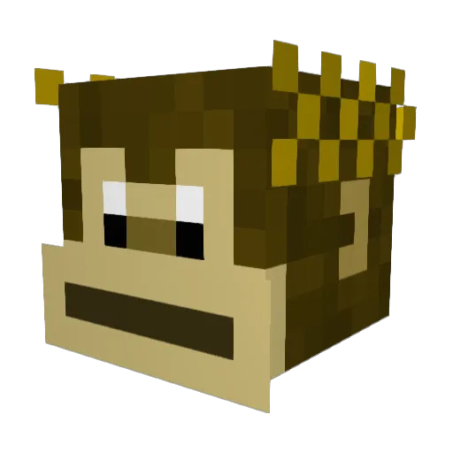 f_oop Minecraft avatar head, 3D render