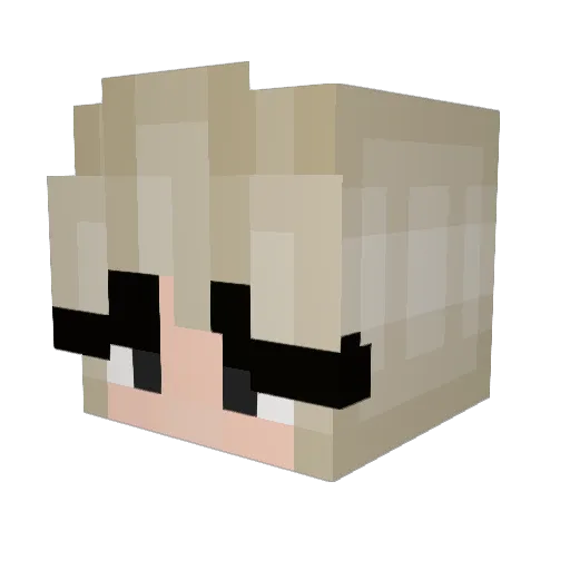 f_raft Minecraft avatar head, 3D render
