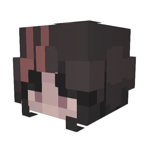 f_rogo Minecraft avatar head, 3D render