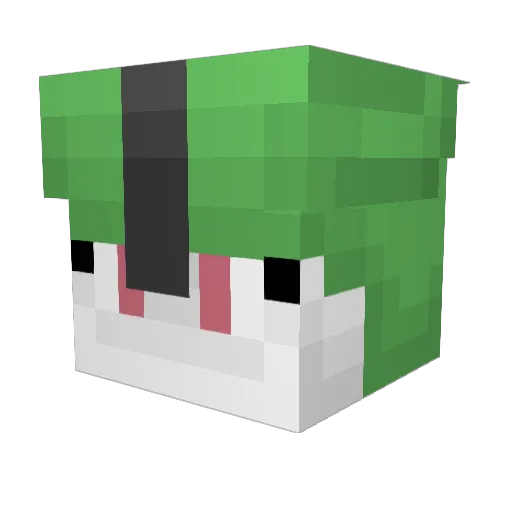 fa1rycorpse Minecraft avatar head, 3D render