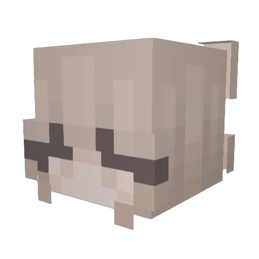 fa1rytear Minecraft avatar head, 3D render