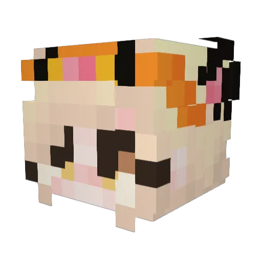 fa9f Minecraft avatar head, 3D render