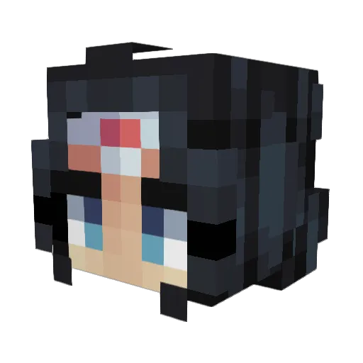 fa_38 Minecraft avatar head, 3D render