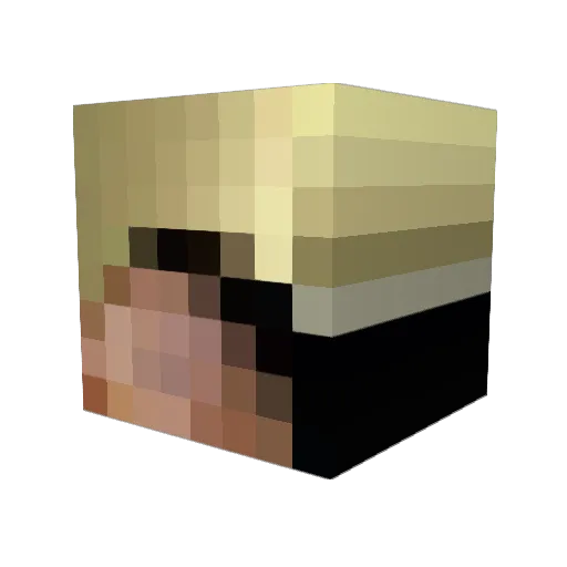 faacer Minecraft avatar head, 3D render