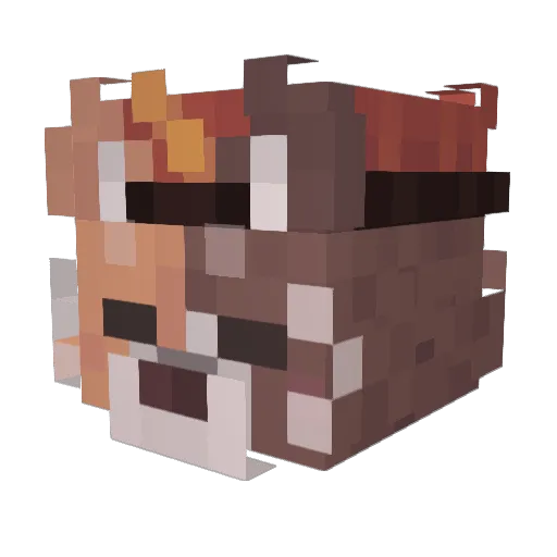 faarr Minecraft avatar head, 3D render