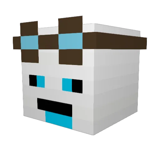 faastu Minecraft avatar head, 3D render