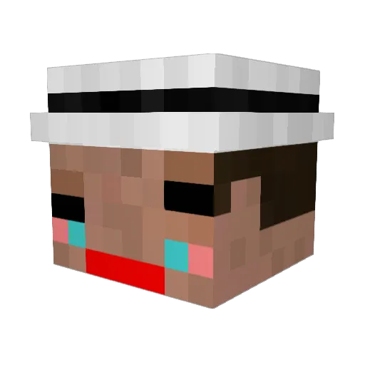 fabi858 Minecraft avatar head, 3D render