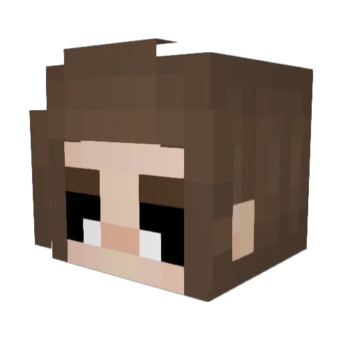 fabiPS5 Minecraft avatar head, 3D render