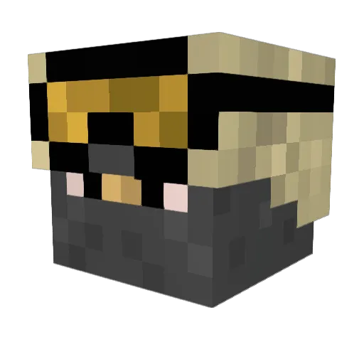 fabi_hunter Minecraft avatar head, 3D render