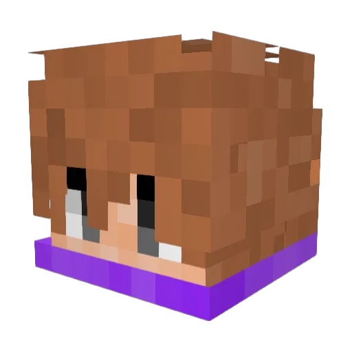 fabian0411 Minecraft avatar head, 3D render