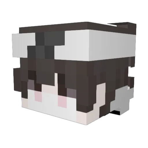 fabian2010 Minecraft avatar head, 3D render