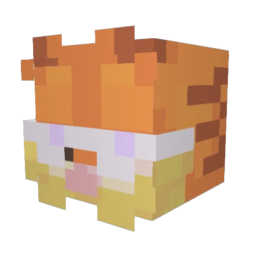 fabichain Minecraft avatar head, 3D render