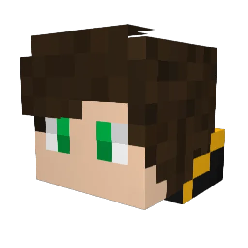 fabii_YT Minecraft avatar head, 3D render