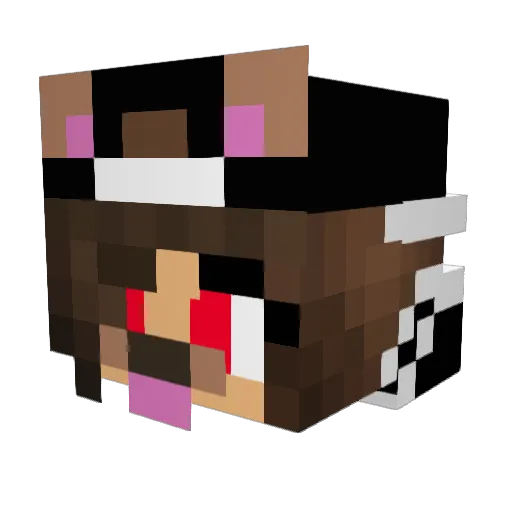 fabisxhit Minecraft avatar head, 3D render