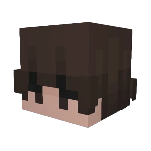 fabizitos Minecraft avatar head, 3D render