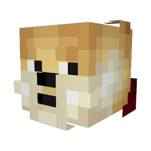 fabledcoot64 Minecraft avatar head, 3D render