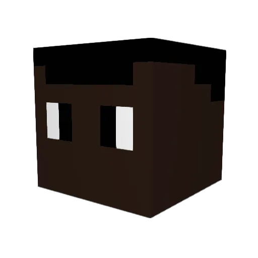 fabluis Minecraft avatar head, 3D render