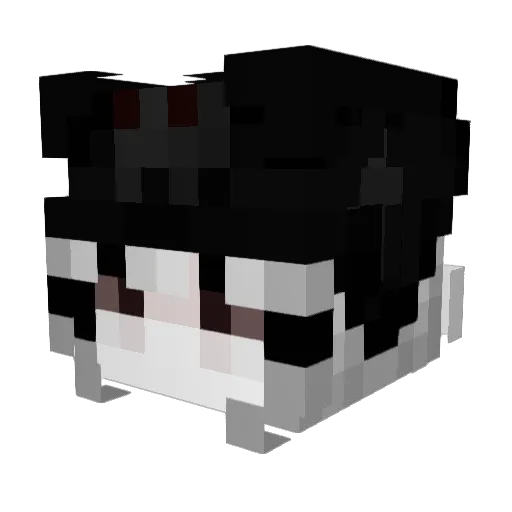 fabrixdsa Minecraft avatar head, 3D render