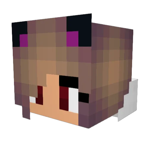 fabska Minecraft avatar head, 3D render