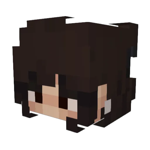 fabss_ Minecraft avatar head, 3D render