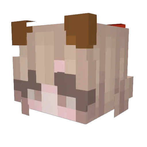 faby21 Minecraft avatar head, 3D render