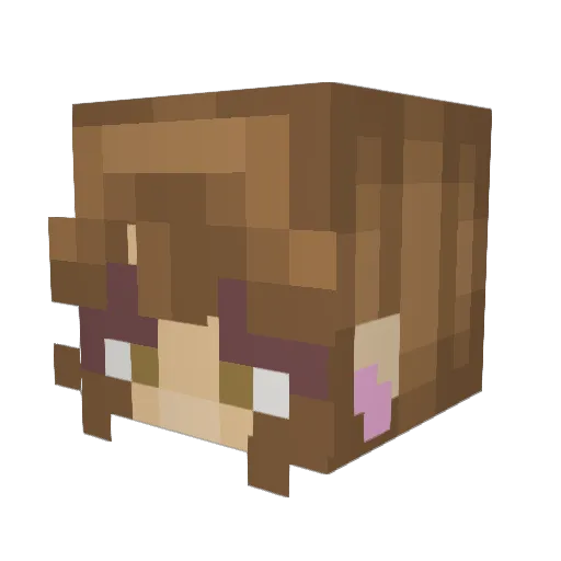 faceinvader Minecraft avatar head, 3D render