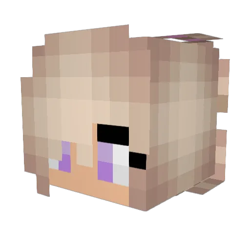facekicker123 Minecraft avatar head, 3D render
