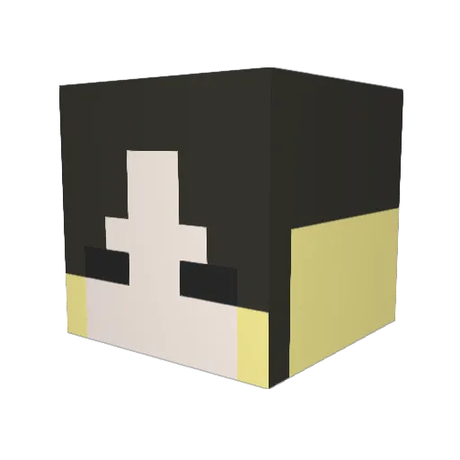 faceline Minecraft avatar head, 3D render