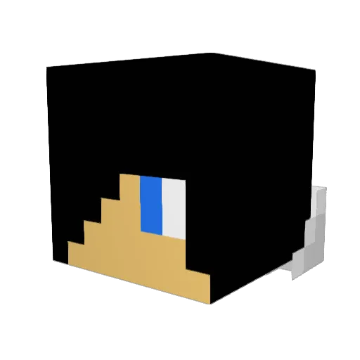 faceoff10 Minecraft avatar head, 3D render