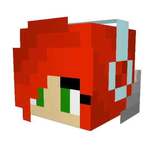 faceplant911 Minecraft avatar head, 3D render