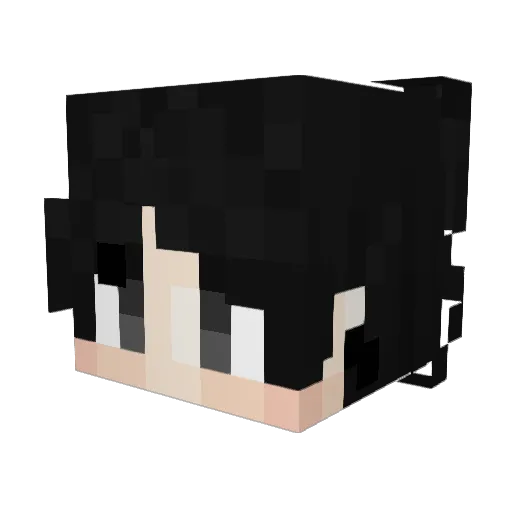 faceplates Minecraft avatar head, 3D render